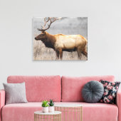 Wildtiere Wildtiere Naturbuck Leinwanddruck (Insitu (Wohnzimmer))