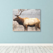 Wildtiere Wildtiere Naturbuck Leinwanddruck (Insitu (Holzboden))