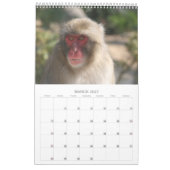Wildtierfoto Kalender (Mär 2027)