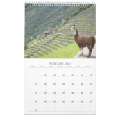 Wildtierfoto Kalender (Feb 2027)