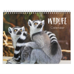 Wildtierkalender 2022 kalender