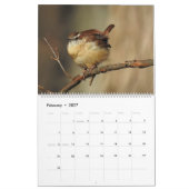 Wildtierkalender, Singvögel, Wildvögel Kalender (Feb 2027)