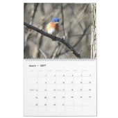 Wildtierkalender, Singvögel, Wildvögel Kalender (Mär 2027)