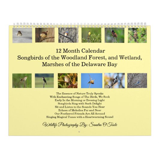 Wildtierkalender, Singvögel, Wildvögel Kalender (Titelbild)