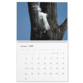 Wildtierkalender, Wasservögel, Reiher Kalender (Jan 2027)