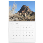 Wildtierkalender, wilde Esel, Burros, Wüste Kalender (Feb 2027)