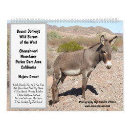 Wildtierkalender, wilde Esel, Burros, Wüste Kalender