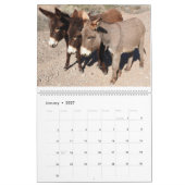 Wildtierkalender, wilde Esel, Burros, Wüste Kalender (Jan 2027)