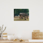 Wildtierzoo, Zebras Poster (Küche)