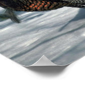 Wildtruthühner aus dem Osten, Schneeballschläger Poster (Ecke)