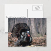 Wildtruthühner in Wäldern Postkarte (Vorne/Hinten)