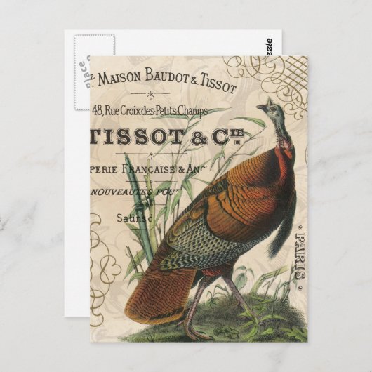 Wildtruthühner mit Vintagem Fall Postkarte (Vorne/Hinten)