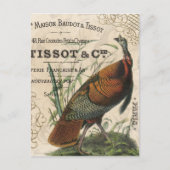Wildtruthühner mit Vintagem Fall Postkarte (Vorderseite)