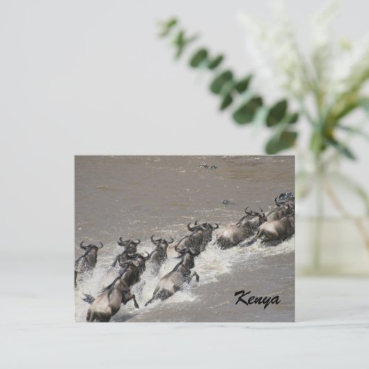 Wildüberquerung Postkarte (Stehend Vorderseite)