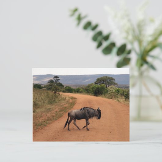 Wildüberquerung Postkarte (Stehend Vorderseite)