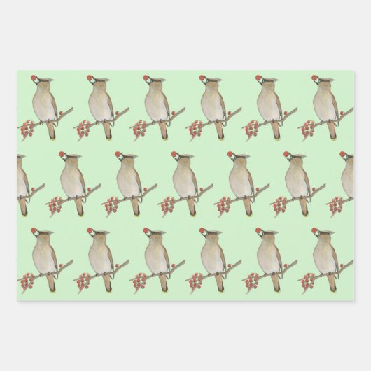 Wildvögel Geschenkpapier Set (Vorderseite 2)