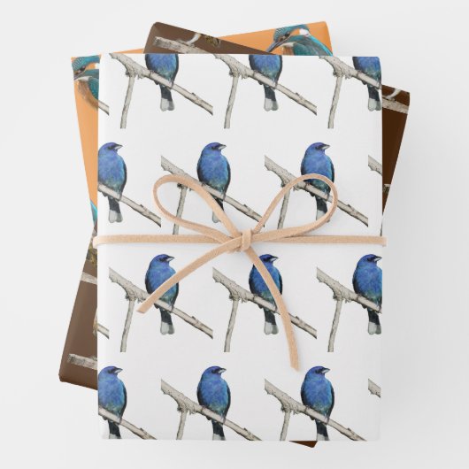 Wildvögel Geschenkpapier Set (Beispiel)