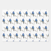 Wildvögel Geschenkpapier Set (Vorderseite)