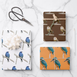 Wildvögel Geschenkpapier Set