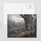 Wildvögel-Holzhacken-Malerei. Postkarte (Vorne/Hinten)