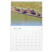 Wildvögel im Ohio-Kalender Kalender (Jan 2027)