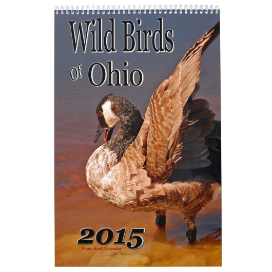 Wildvögel im Ohio-Kalender Kalender (Titelbild)