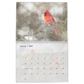 Wildvögel Kalender (Jan 2027)