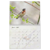 Wildvögel Kalender (Mär 2027)