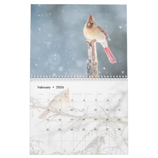 Wildvögel Kalender (Feb 2026)