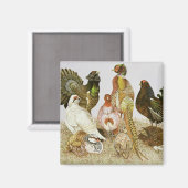 Wildvögel Magnet (Vorderseite/Rückseite)