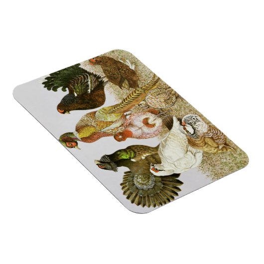 Wildvögel Magnet (Rechte Seite)