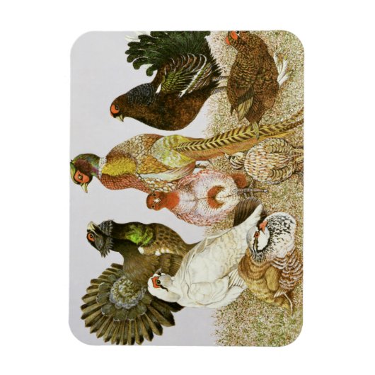 Wildvögel Magnet (Vertikal)