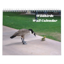 Wildvögel-Mauerkalender Kalender