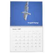 Wildvögel-Mauerkalender Kalender (Jan 2027)