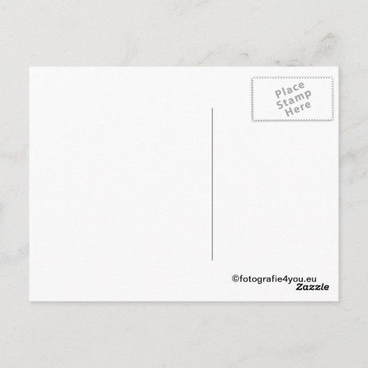 Wildvogel-Pferde nach Karte (Rückseite)