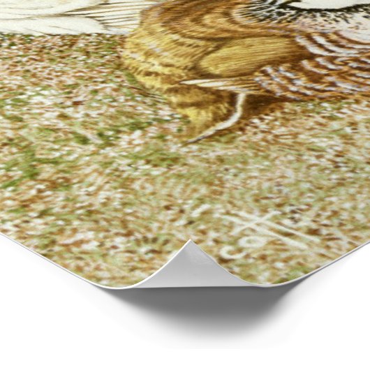 Wildvögel Poster (Ecke)