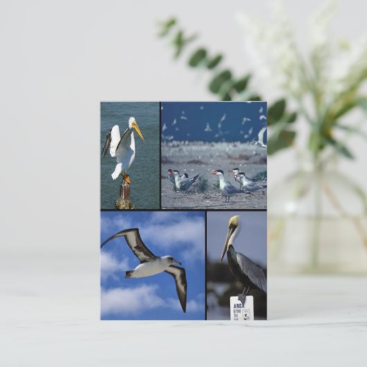 Wildvögel Postkarte (Stehend Vorderseite)