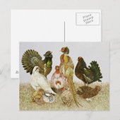 Wildvögel Postkarte (Vorne/Hinten)