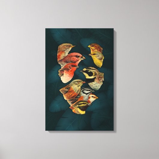 Wildvögel von Feather Leinwanddruck (Vorderseite)