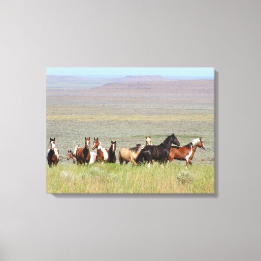 WildWest Mustangs Wrapped Canvas Leinwanddruck (Vorderseite)