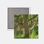 Wildwild in Wäldern unter Bäumen Magnet (Vorderseite/Rückseite)