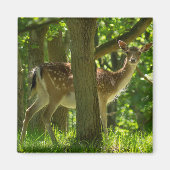 Wildwild in Wäldern unter Bäumen Magnet (Vorne)