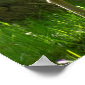 Wildwild in Wäldern unter Bäumen Poster (Ecke)