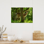 Wildwild in Wäldern unter Bäumen Poster (Küche)