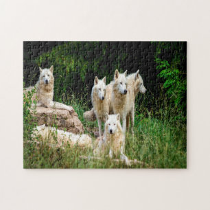 Wildwolf Puzzle