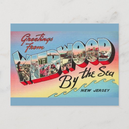 Wildwood by Sea Postcard Postkarte (Vorderseite)