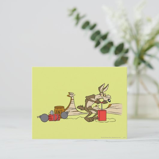 WILE E. COYOTE™ ACME TNT POSTKARTE (Stehend Vorderseite)
