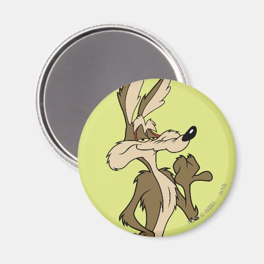 WILE E. COYOTE™ Blickwinkel Magnet (Vorderseite/Rückseite)