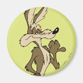 WILE E. COYOTE™ Blickwinkel Magnet (Vorne)