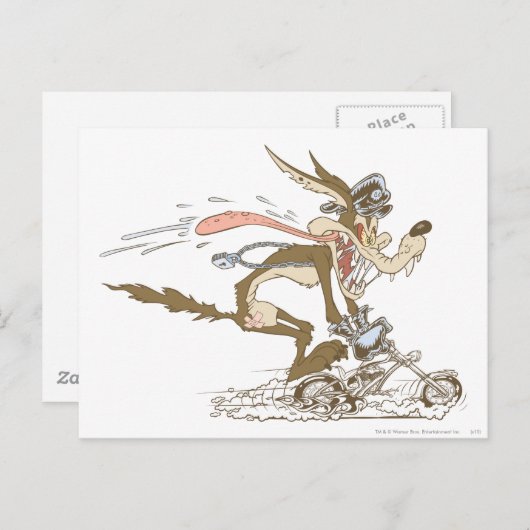 WILE E. COYOTE™ Cyclacer Postkarte (Vorne/Hinten)